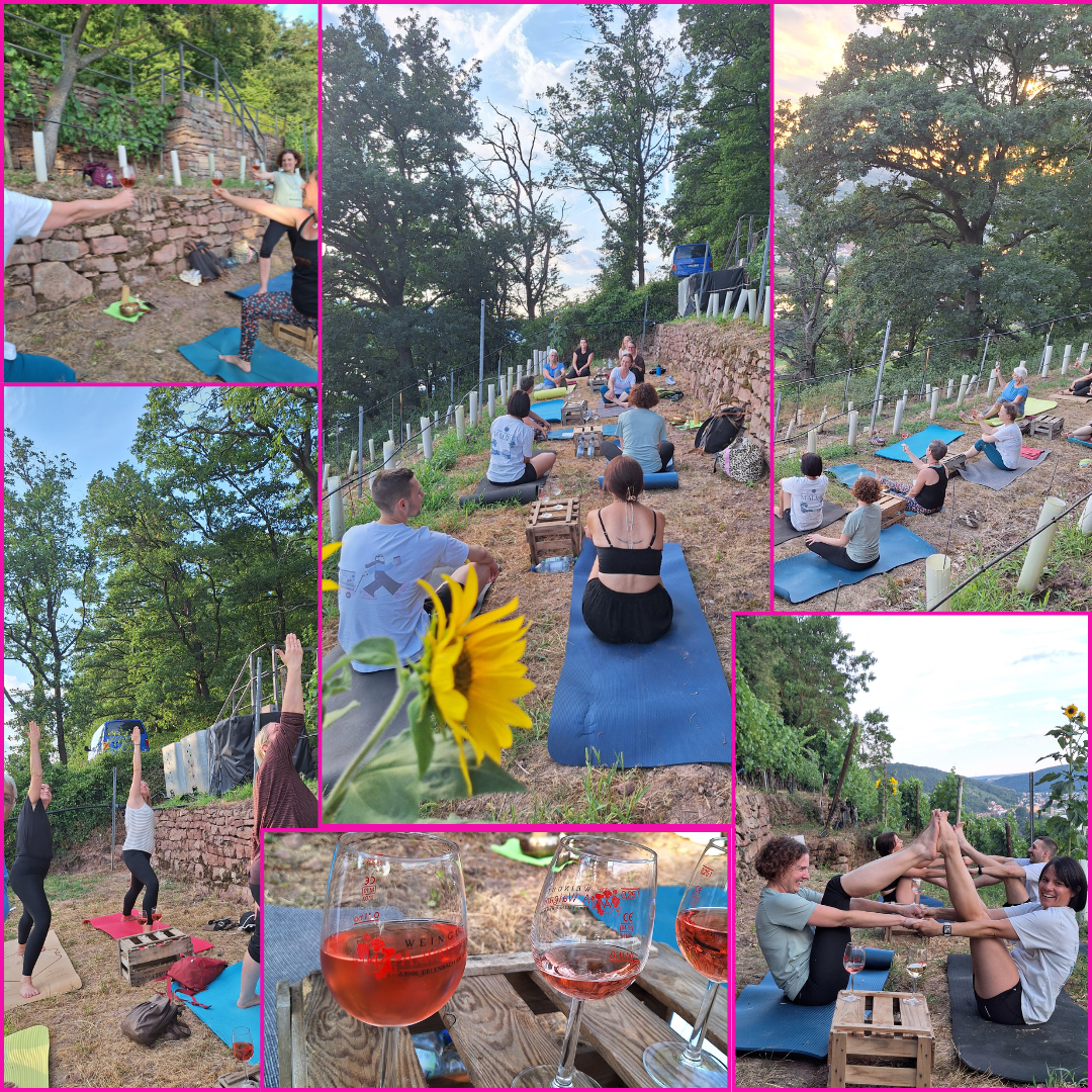 Steillagen-Weinbergswanderung 25.06.2027 Yoga & Wein im Weinberg