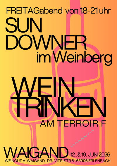 Sundowner im Weinberg