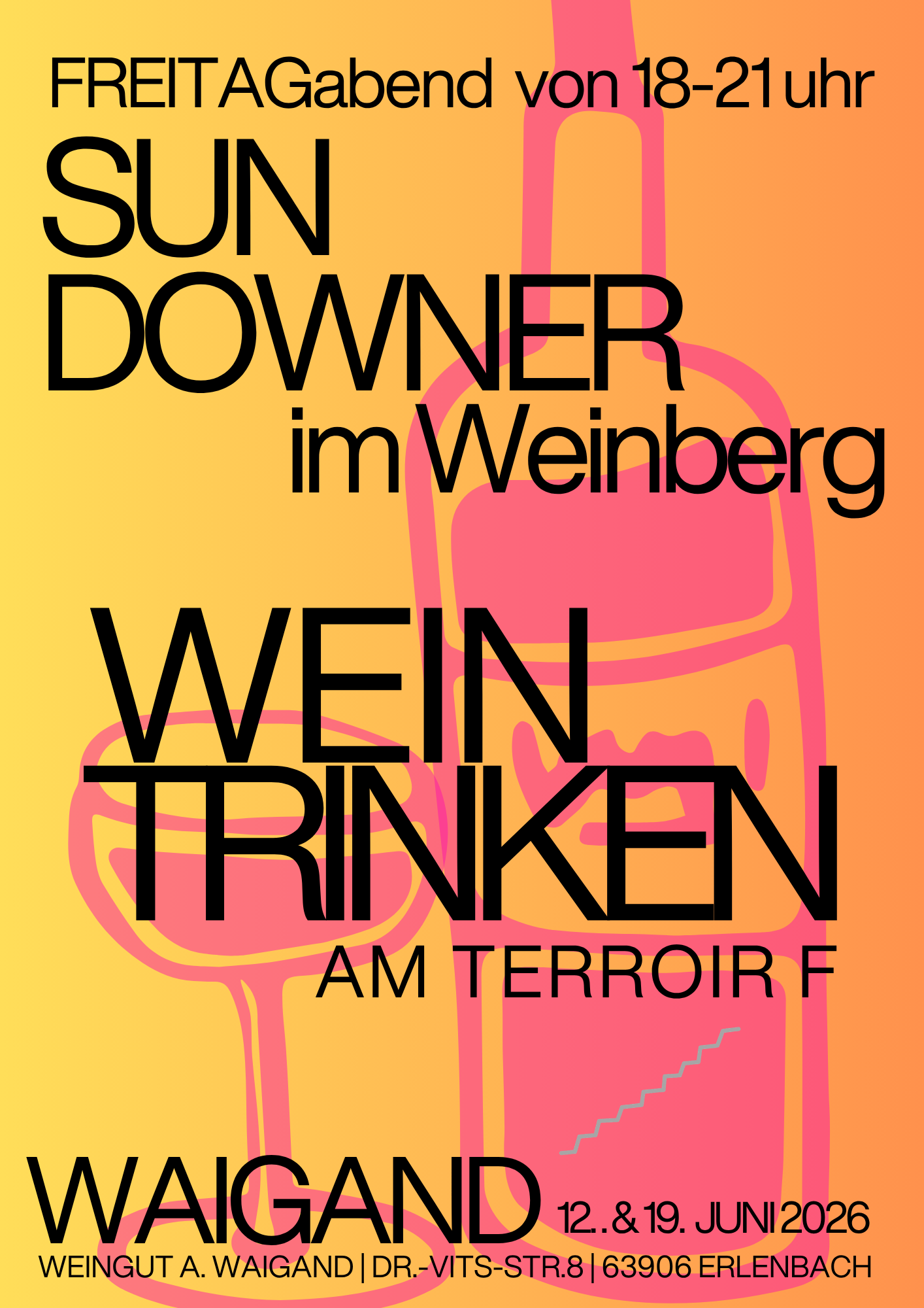 Sundowner im Weinberg