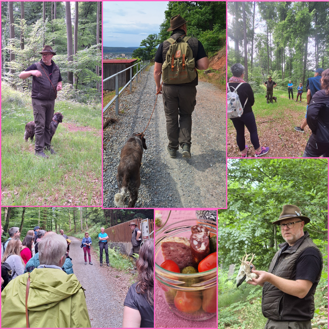 Collage Erlebnistour Weingut A. Waigand - Führung im Wald mit Hund, Naturprodukte und Gruppe bei Naturführung
