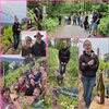Collage Weinberg-Erlebnistour Weingut A. Waigand - Gruppe bei Wanderung, Alpaka und Weinpräsentation im Weinberg