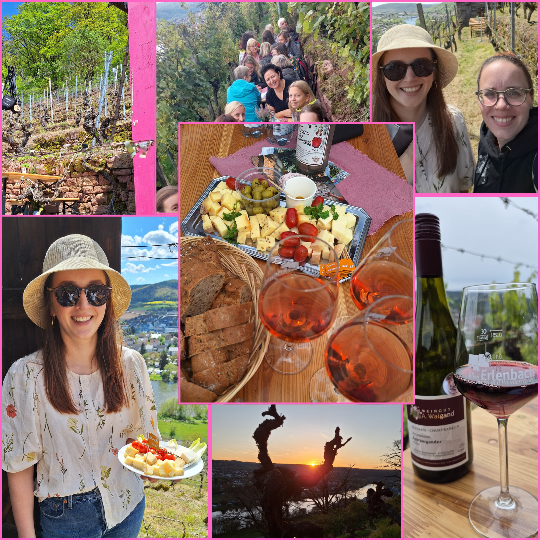 Collage Weinbergtour Weingut A. Waigand - Gruppe bei Wanderung im Weinberg, Weinprobe mit Käse und Sonnenuntergang
