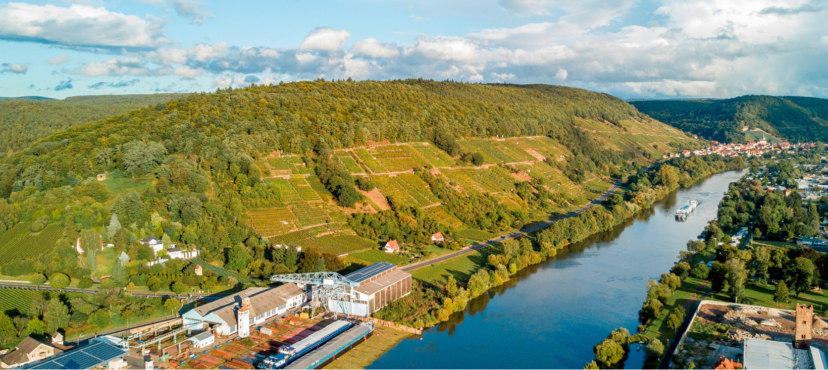 Luftaufnahme Weinbergregion Erlenbach am Main - Titelbild Weingut A. Waigand